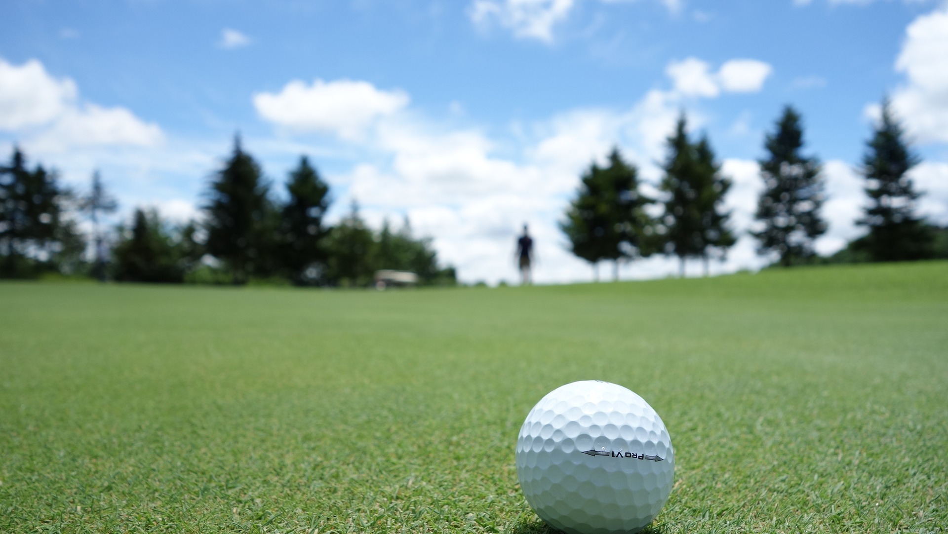 Golf ball at a course