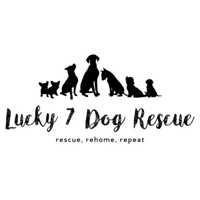 Lucky 7 Dog Rescue logo