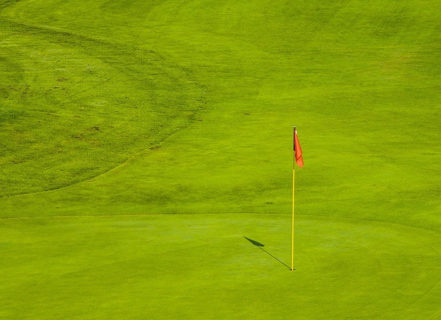 Golf green image